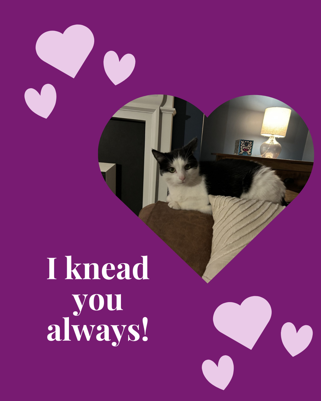 Valentine's Day 2026 - image 4